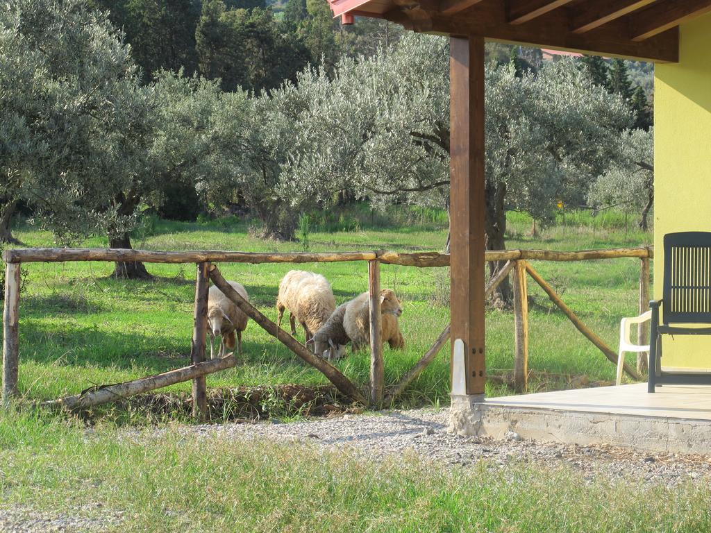 Holiday Home Stella Di Sicilia Acquedolci Eksteriør bilde